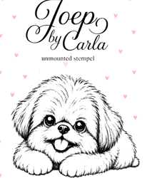 Joep by Carla - Stempel Joep liggend - JBC004